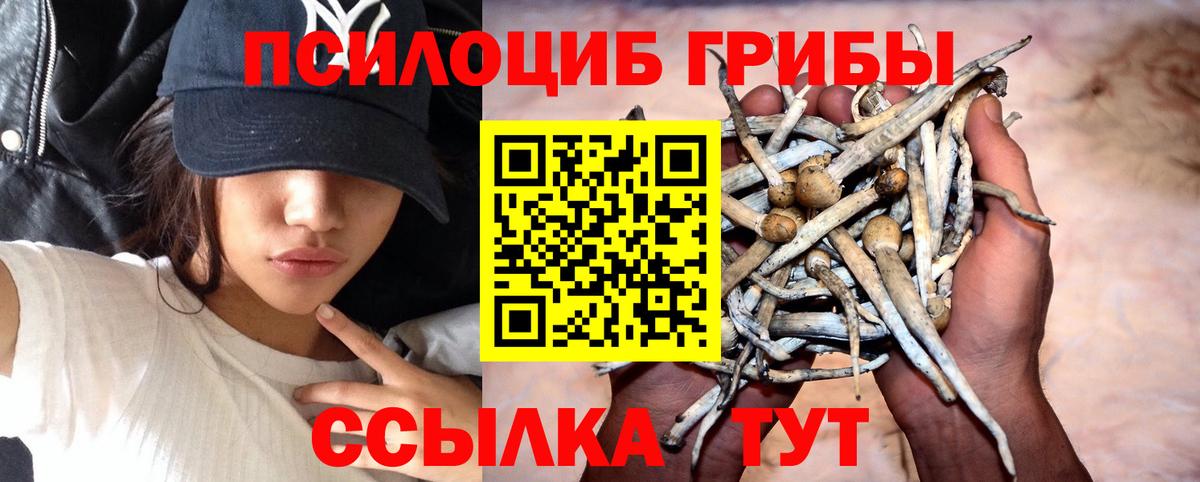 Красноуфимск  Галлюциногенные грибы Psilocybine cubensis  хочу   Вход с VPN  Псилоцибиновые грибы прущие грибы 